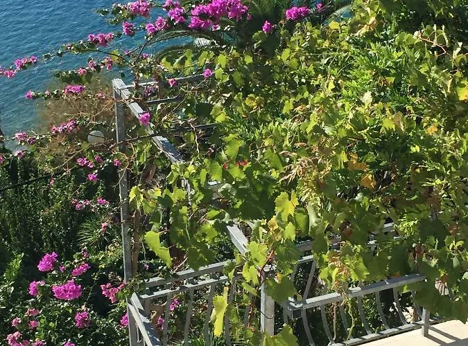 Ivan Stanici Apartament Omiš