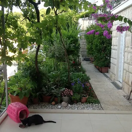 Ivan Stanici * Omiš