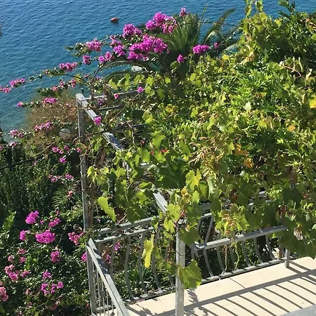 Ivan Stanici Apartamento Omiš