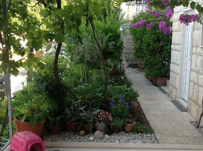 Ivan Stanici * Omiš